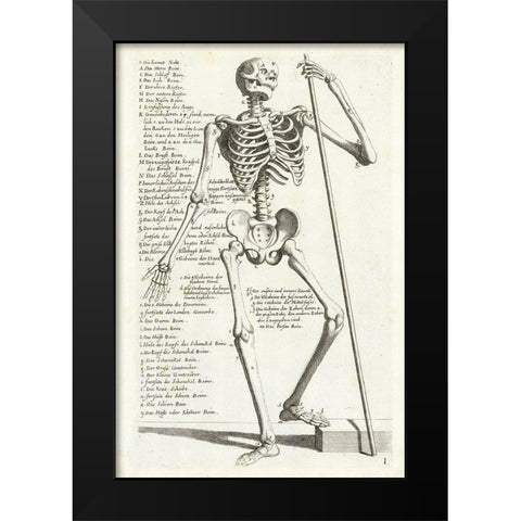 Anatomical diagram showing human skeleton, front view, with legends Black Modern Wood Framed Art Print by Bollmann, Hieronymus