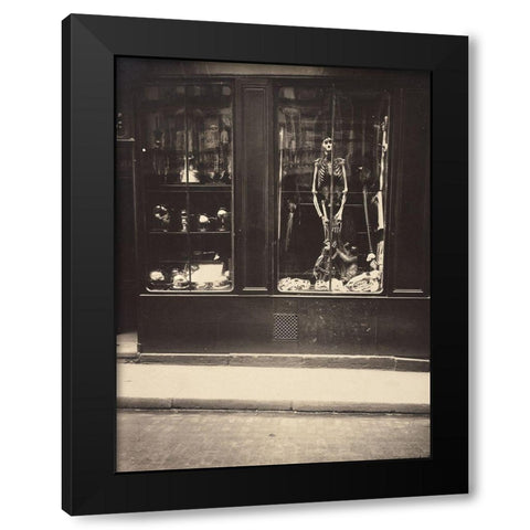 Zoologists Shop Black Modern Wood Framed Art Print by Atget, Eugene