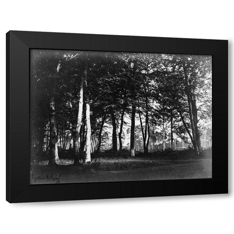 Fontainebleau, 1849 - Study of Trees and Pathways Black Modern Wood Framed Art Print by Le Gray, Gustave