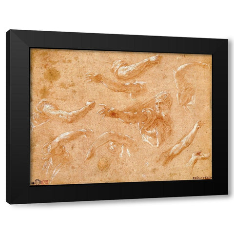 Study of God the Father with Angels Black Modern Wood Framed Art Print with Double Matting by Primaticcio, Francesco