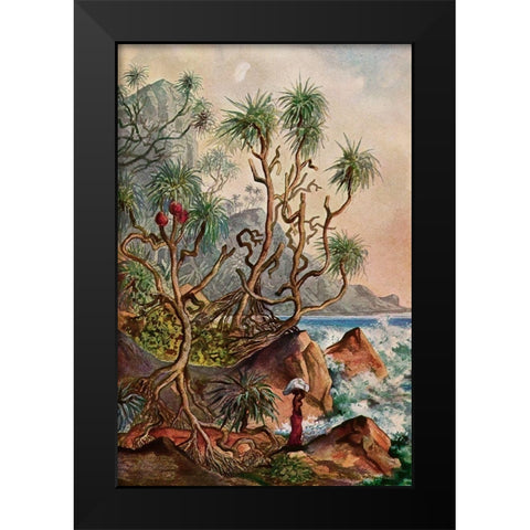 Pandanus bei Matura Schraubenpalmen an der Sudkuste von Ceylon Black Modern Wood Framed Art Print by Haeckel, Ernst