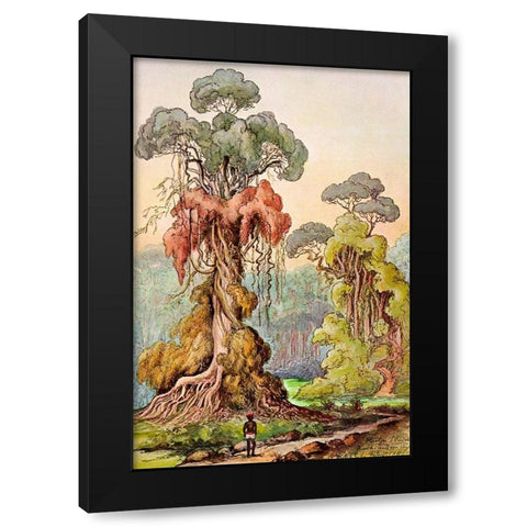 Lianen-Mantel an Saulenbaumen Hochland von Ceylon Black Modern Wood Framed Art Print by Haeckel, Ernst