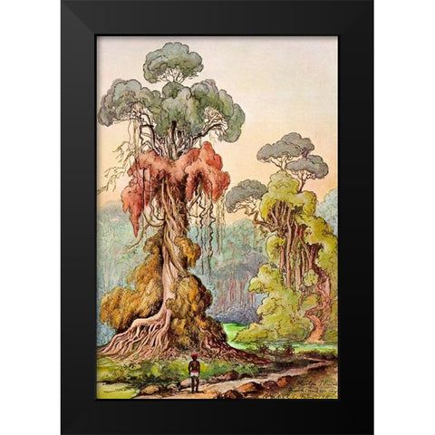 Lianen-Mantel an Saulenbaumen Hochland von Ceylon Black Modern Wood Framed Art Print by Haeckel, Ernst