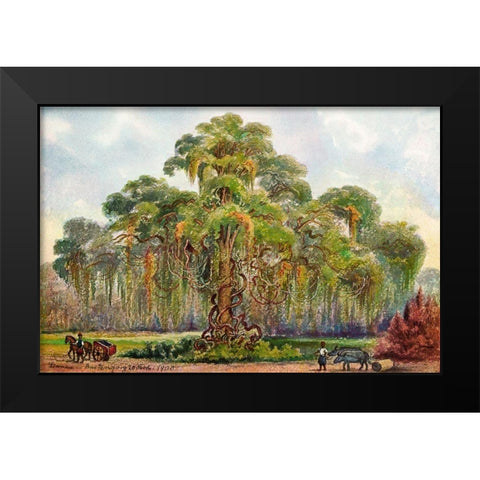 Terminalia auf Java Riesenbaum mit Lianen Black Modern Wood Framed Art Print by Haeckel, Ernst