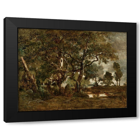 Forest of Fontainebleau, Cluster of Tall Trees Overlooking the Plain of Clair-Bois at the Edge of Ba Black Modern Wood Framed Art Print with Double Matting by Rousseau, Theodore