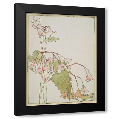 Beef Begonia Black Modern Wood Framed Art Print by Overbeck, Hannah Borger
