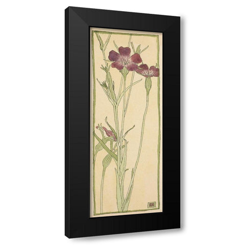 Corn Cockle Black Modern Wood Framed Art Print by Overbeck, Hannah Borger