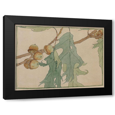 Oak/Acorns Black Modern Wood Framed Art Print with Double Matting by Overbeck, Hannah Borger