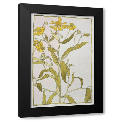 Sneeze Weed Black Modern Wood Framed Art Print by Overbeck, Hannah Borger
