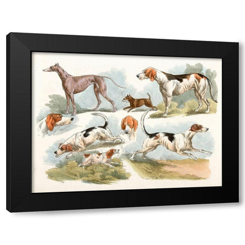Hunting Dogs, 1817 Black Modern Wood Framed Art Print with Double Matting by Alken, Henry Thomas