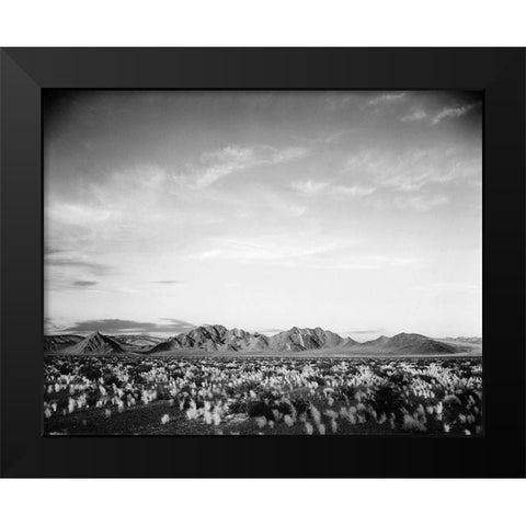 Distant mountains: desert and shrubs in foreground near Death Valley National Monument, California - Black Modern Wood Framed Art Print by Adams, Ansel