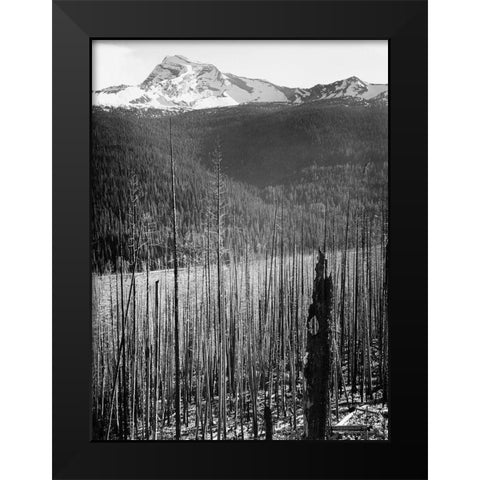 Burned Area, Glacier National Park, Montana - National Parks and Monuments, 1941 Black Modern Wood Framed Art Print by Adams, Ansel