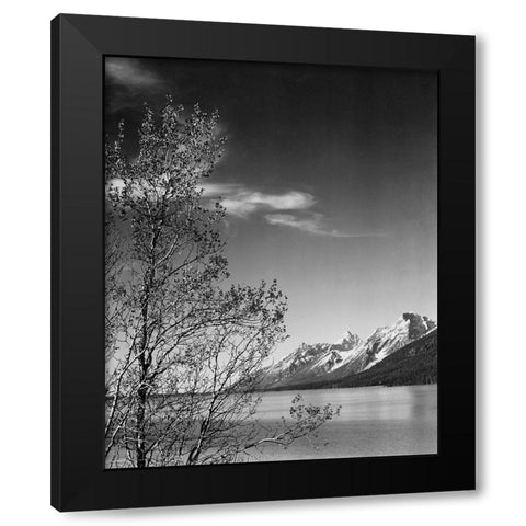 View of mountains with tree in foreground, Grand Teton National Park, Wyoming, 1941 Black Modern Wood Framed Art Print by Adams, Ansel