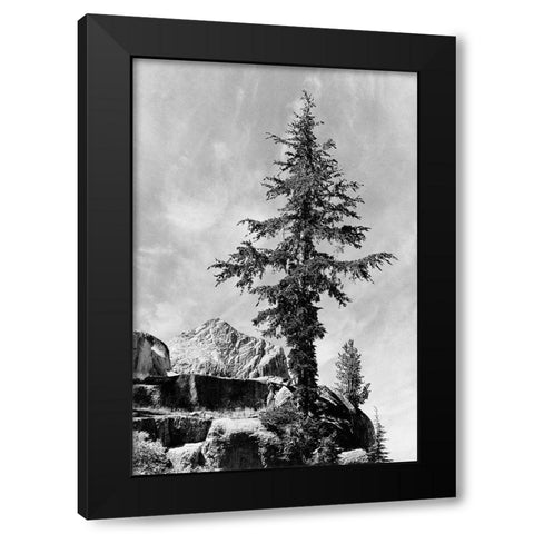 Tree and unnamed peak, Kings River Canyon,  proposed as a national park, California, 1936 Black Modern Wood Framed Art Print by Adams, Ansel