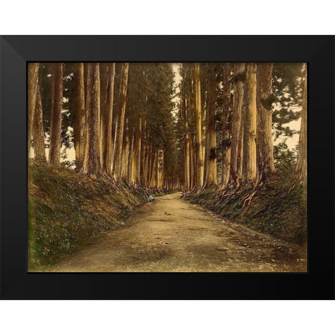 View of Imaichi Black Modern Wood Framed Art Print by Unknown 19th Century Japanese Photographer
