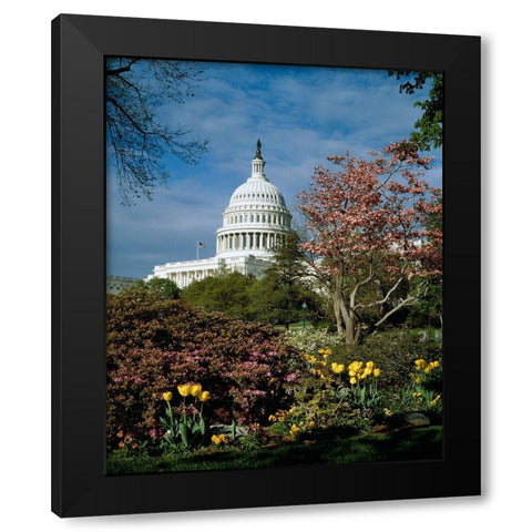 U.S. Capitol, Washington, D.C. Number 3 Black Modern Wood Framed Art Print with Double Matting by Highmith, Carol
