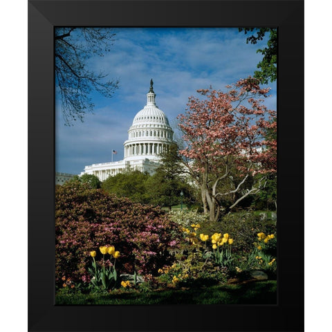 U.S. Capitol, Washington, D.C. Number 3 Black Modern Wood Framed Art Print by Highmith, Carol