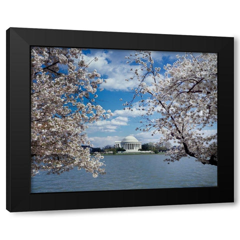 Jefferson Memorial with cherry blossoms, Washington, D.C. Black Modern Wood Framed Art Print with Double Matting by Highmith, Carol