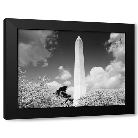 Washington Monument and cherry trees, Washington, D.C. - Black and White Variant Black Modern Wood Framed Art Print by Highmith, Carol