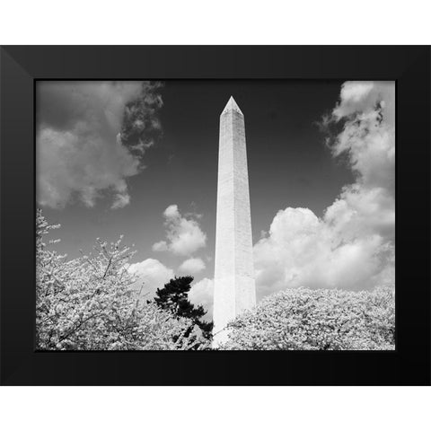 Washington Monument and cherry trees, Washington, D.C. - Black and White Variant Black Modern Wood Framed Art Print by Highmith, Carol