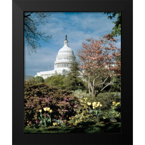 U.S. Capitol, Washington, D.C. Number 3 - Vintage Style Photo Tint Variant Black Modern Wood Framed Art Print by Highmith, Carol