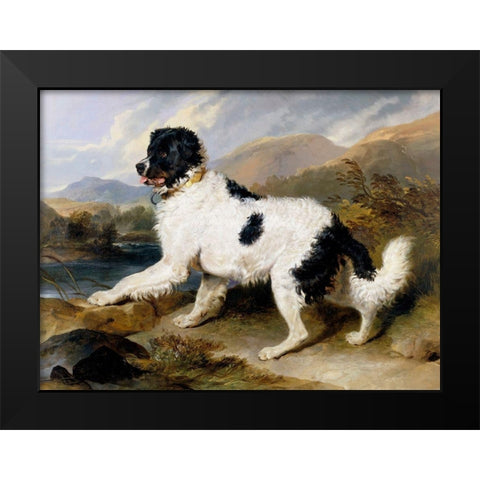 A Newfoundland Dog Black Modern Wood Framed Art Print by Landseer, Sir Edwin Henry