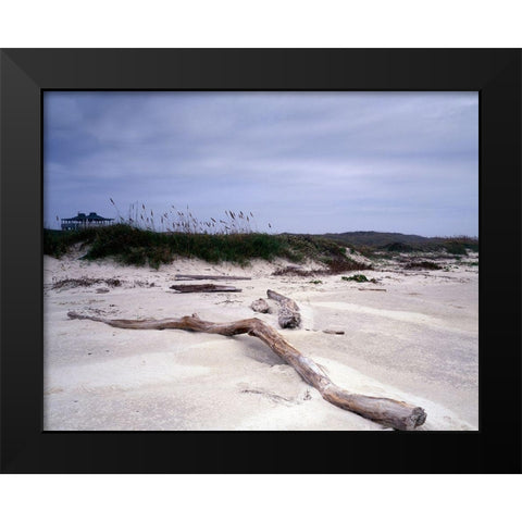 Driftwood on beach at Padre Island, TX Black Modern Wood Framed Art Print by Highmith, Carol