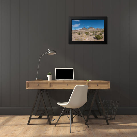Scenery in Big Bend National Park, TX Black Modern Wood Framed Art Print by Highmith, Carol