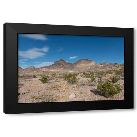 Scenery in Big Bend National Park, TX Black Modern Wood Framed Art Print with Double Matting by Highmith, Carol