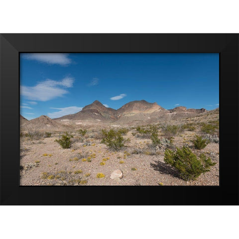 Scenery in Big Bend National Park, TX Black Modern Wood Framed Art Print by Highmith, Carol