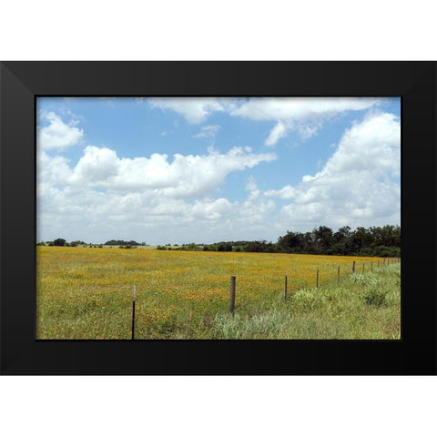 A field of wildflowers near Chappel Hill in Austin County, TX, 2014 Black Modern Wood Framed Art Print by Highmith, Carol