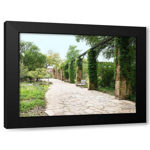 Paved walkway at the Lady Bird Johnson Wildflower Center, near Austin, TX Black Modern Wood Framed Art Print by Highmith, Carol