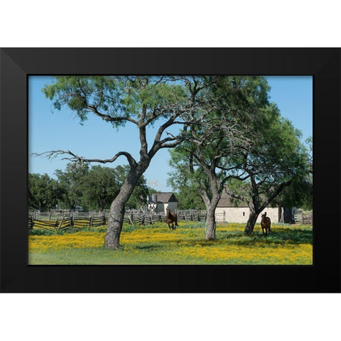 Horses gallop toward the camera in a wildflower-rich National Park Service meadow in Johnson City, T Black Modern Wood Framed Art Print by Highmith, Carol