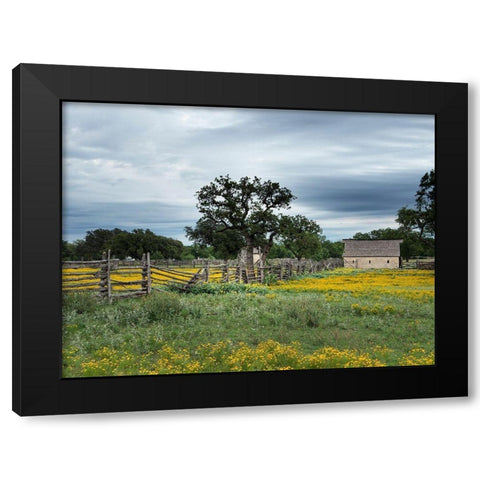 A beautiful wildflower array in a meadow in Johnson City, TX Black Modern Wood Framed Art Print with Double Matting by Highmith, Carol