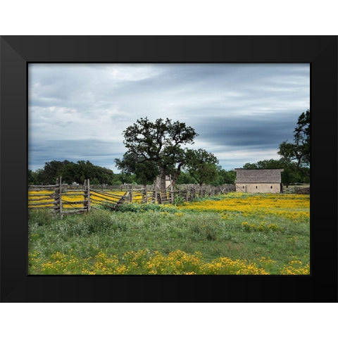 A beautiful wildflower array in a meadow in Johnson City, TX Black Modern Wood Framed Art Print by Highmith, Carol