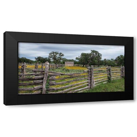 Vivid field of wildflowers in the Lyndon B. Johnson National Historical Park in Johnson City, TX Black Modern Wood Framed Art Print by Highmith, Carol