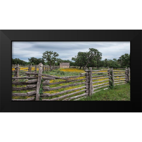 Vivid field of wildflowers in the Lyndon B. Johnson National Historical Park in Johnson City, TX Black Modern Wood Framed Art Print by Highmith, Carol
