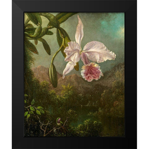 Orchid Blossoms Black Modern Wood Framed Art Print by Heade, Martin Johnson