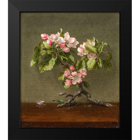 Apple Blossoms Black Modern Wood Framed Art Print by Heade, Martin Johnson