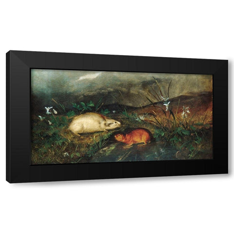 Hudsons Bay Lemming 1846 Black Modern Wood Framed Art Print by Audubon, John Woodhouse