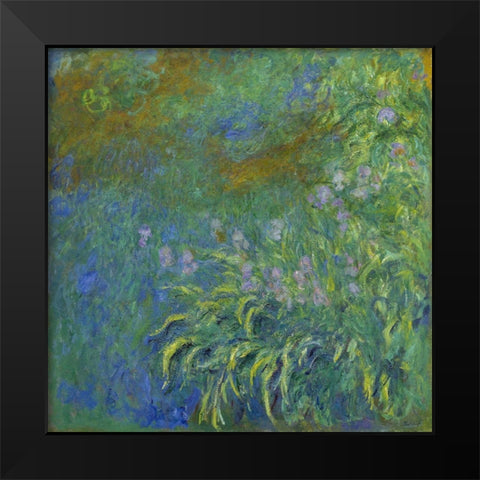 Irises Black Modern Wood Framed Art Print by Monet, Claude