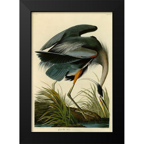 The Great Blue Heron Black Modern Wood Framed Art Print by Audubon, John James