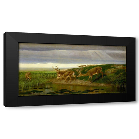 Deer on the Prairie Black Modern Wood Framed Art Print by Beard, William Holbrook