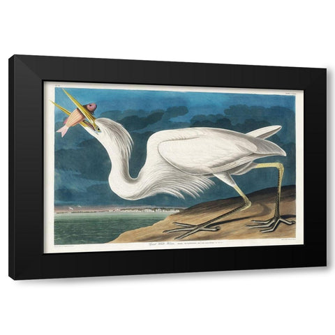 Great White Heron Black Modern Wood Framed Art Print with Double Matting by Audubon, John James