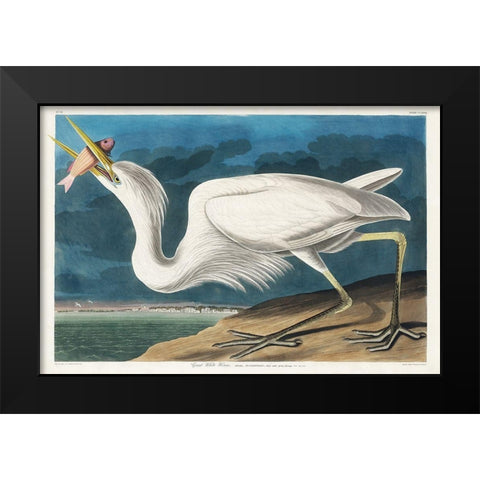 Great White Heron Black Modern Wood Framed Art Print by Audubon, John James