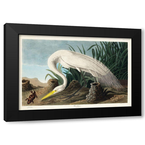 White Heron Black Modern Wood Framed Art Print by Audubon, John James