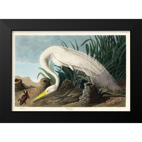 White Heron Black Modern Wood Framed Art Print by Audubon, John James
