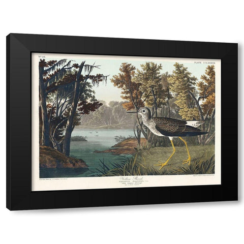 Yellow Shank Black Modern Wood Framed Art Print with Double Matting by Audubon, John James