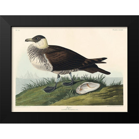 Jager Black Modern Wood Framed Art Print by Audubon, John James