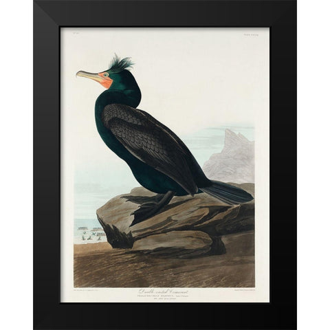 Double-crested Cormorant Black Modern Wood Framed Art Print by Audubon, John James